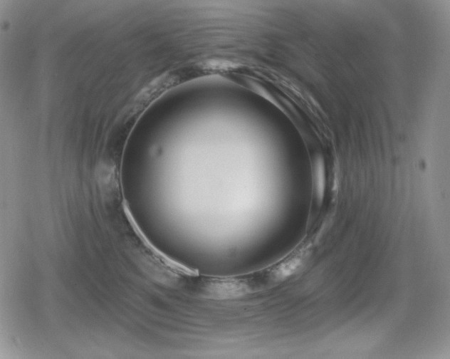 X0000080740521200612151252
