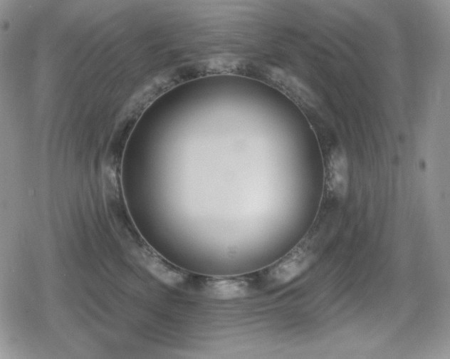 X0000080740522200612151252