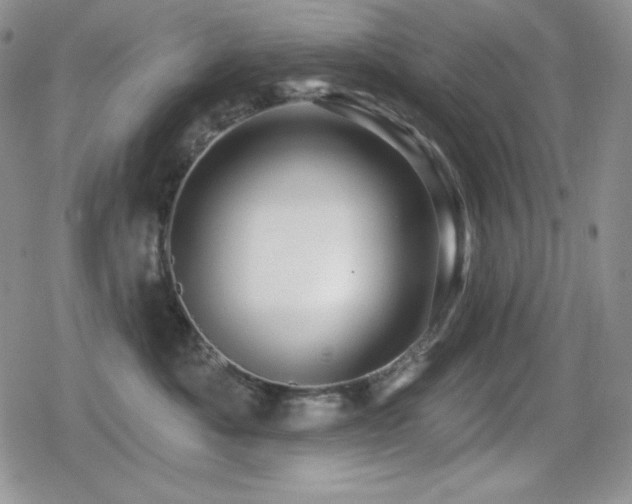 X0000080740525200612151252