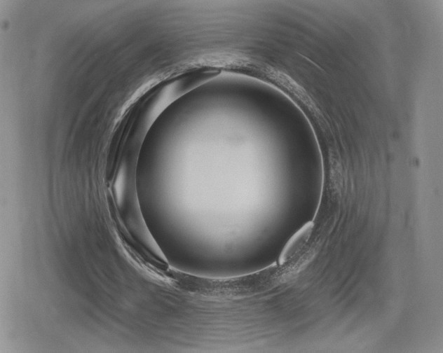 X0000080740530200612151252