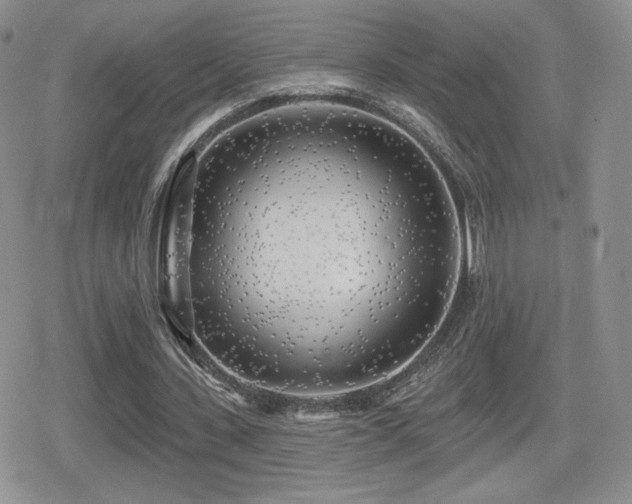X0000080740531200612151252