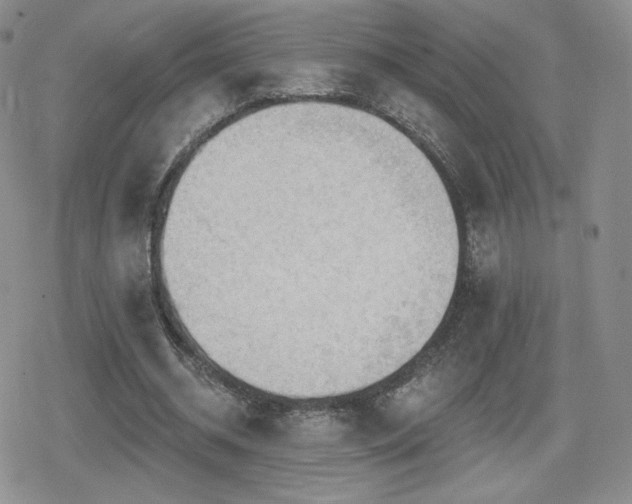 X0000080740534200612151252