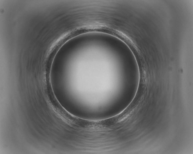 X0000080740535200612151252