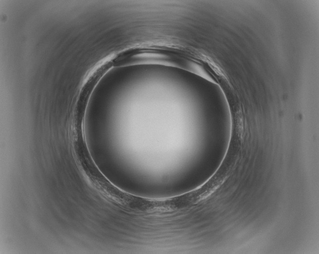 X0000080740536200612151252