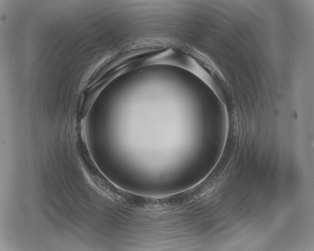 X0000080740538200612151252