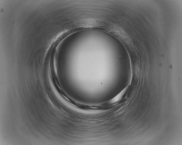 X0000080740540200612151252