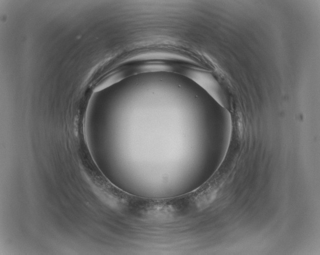 X0000080740543200612151252