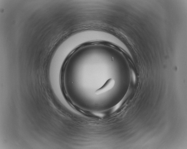 X0000080740546200612151252