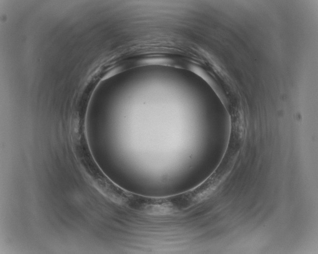 X0000080740548200612151252