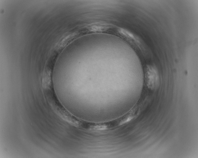 X0000080740554200612151252