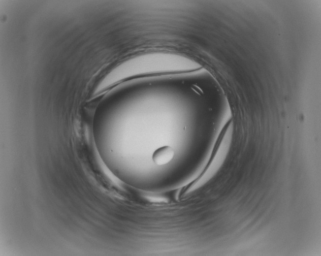 X0000080740556200612151252