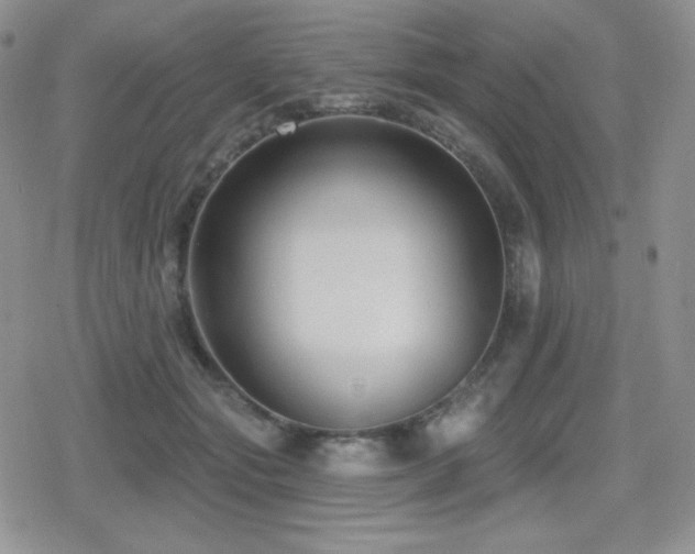 X0000080740557200612151252