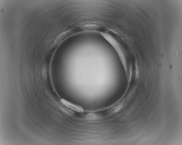 X0000080740562200612151252