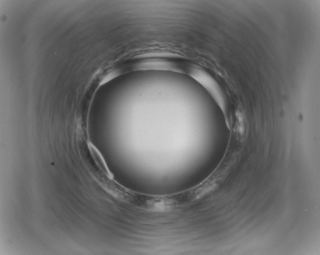 X0000080740564200612151252