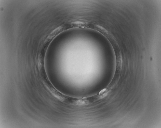 X0000080740566200612151252