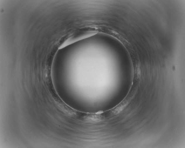 X0000080740567200612151252