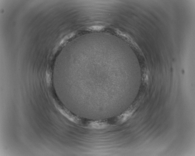X0000080740568200612151252