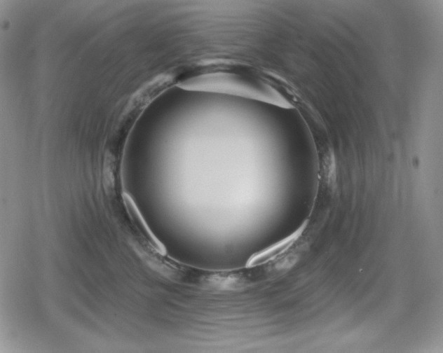 X0000080740570200612151252