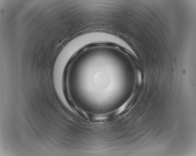 X0000080740572200612151252