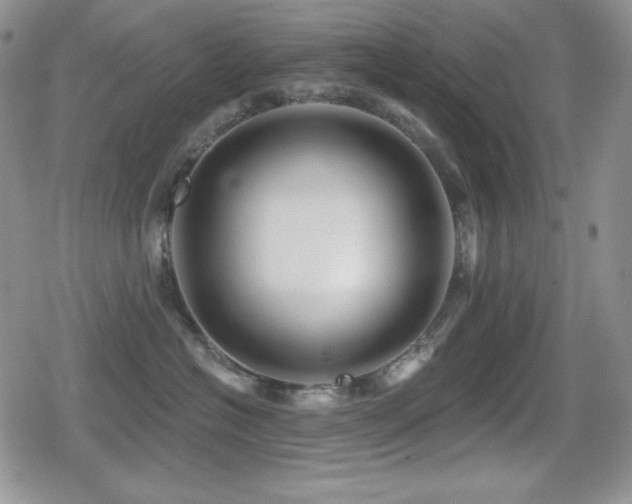 X0000080740574200612151252