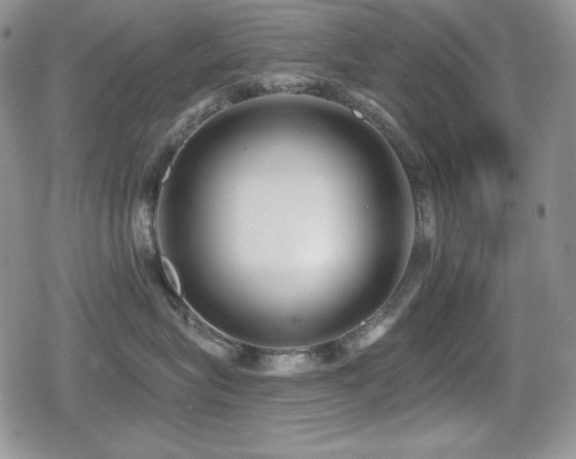 X0000080740575200612151252