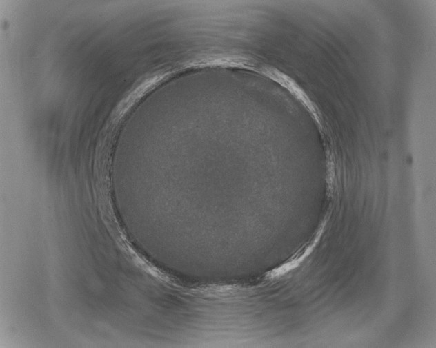 X0000080740577200612151252
