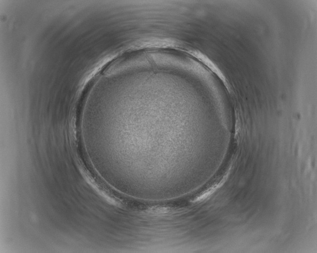 X0000080740581200612151251