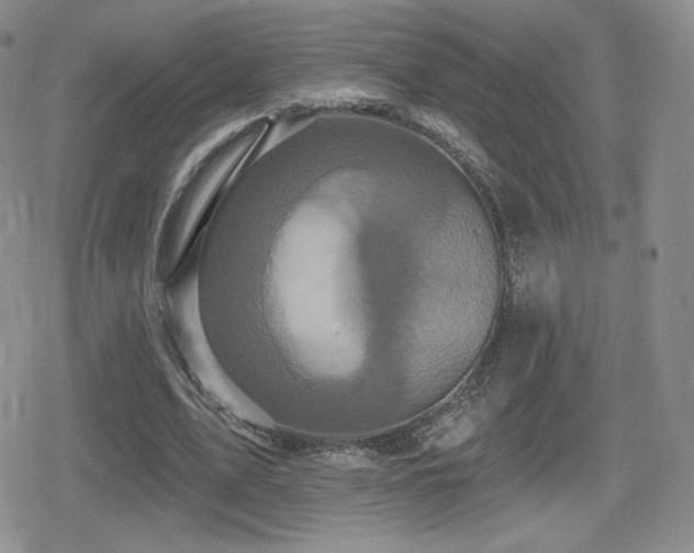 X0000080740583200612151251
