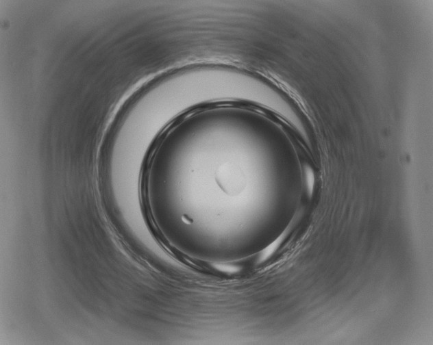 X0000080740584200612151251