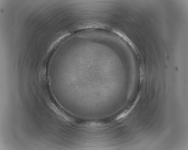 X0000080740585200612151251