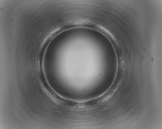 X0000080740589200612151251
