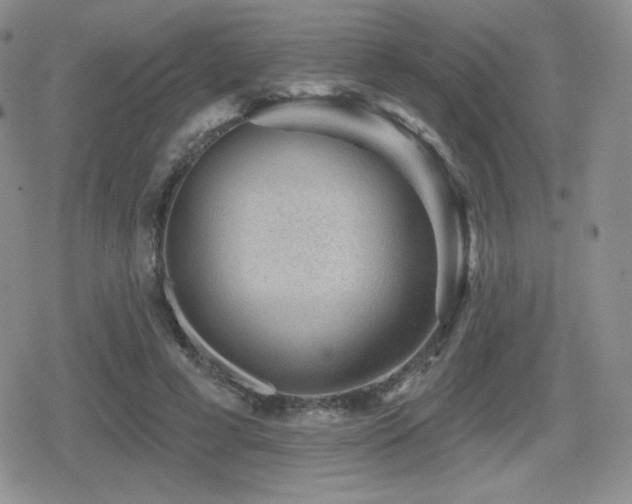 X0000080740593200612151251