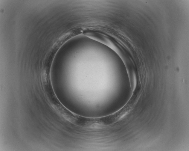 X0000080740597200612151251