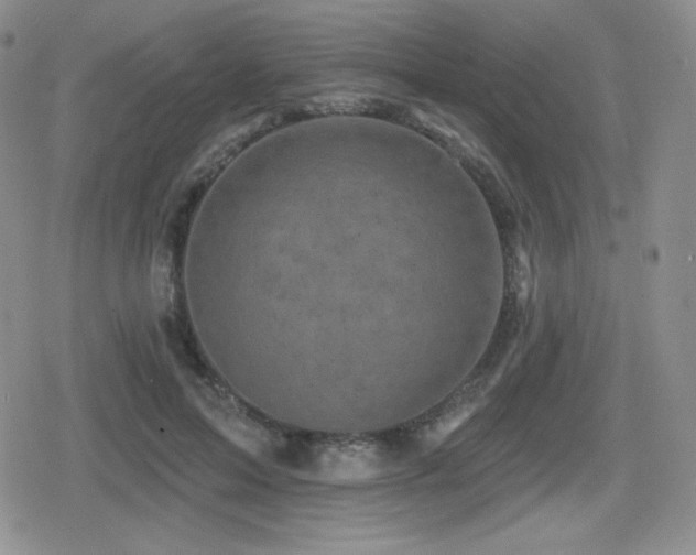 X0000080740599200612151251