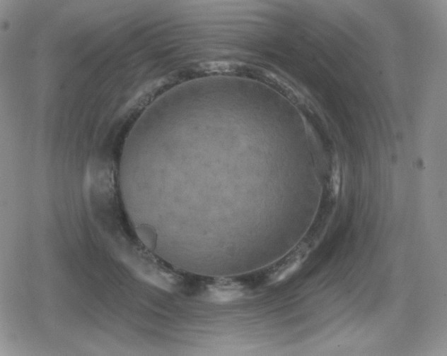 X0000080740603200612151251