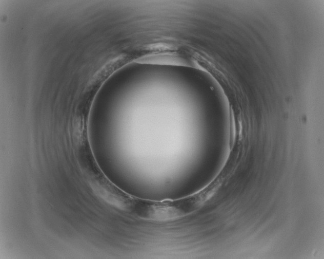 X0000080740605200612151251