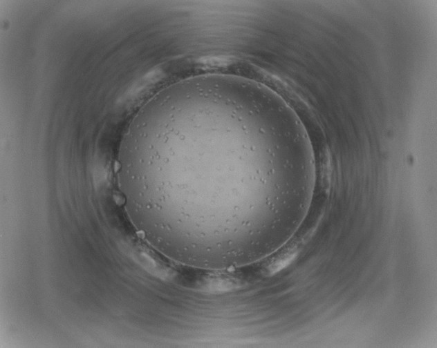 X0000080740608200612151251