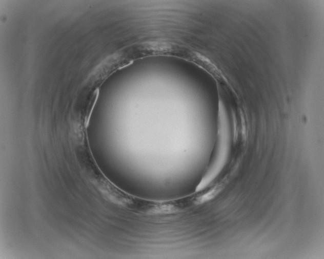 X0000080740609200612151251