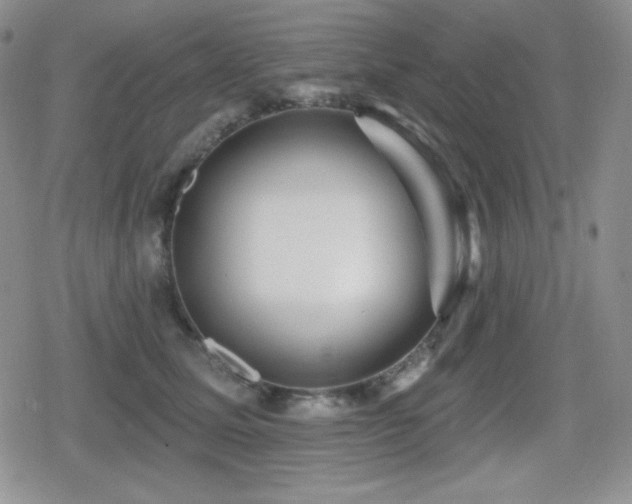 X0000080740611200612151251