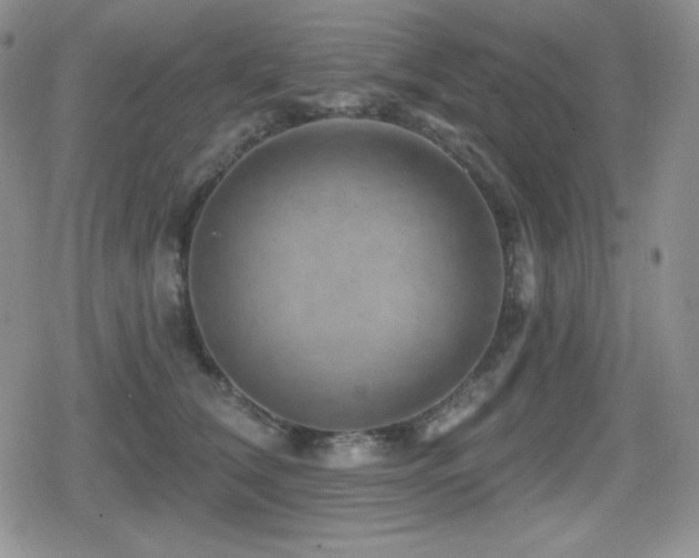 X0000080740612200612151251