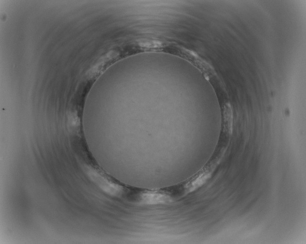 X0000080740614200612151251