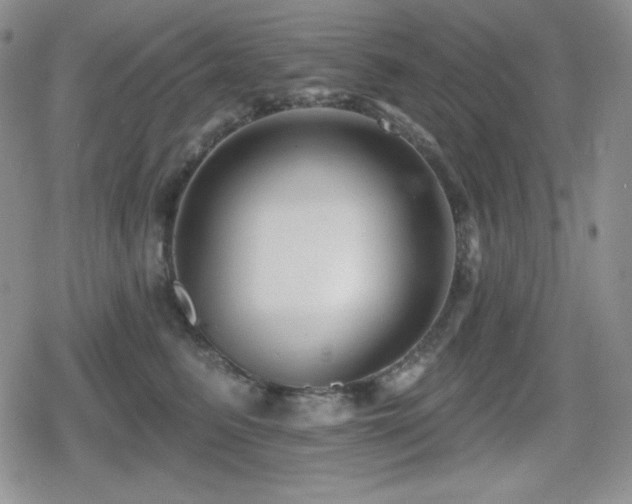 X0000080740615200612151251