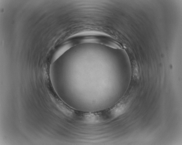 X0000080740616200612151251