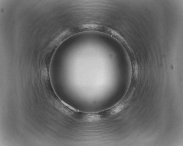 X0000080740617200612151251