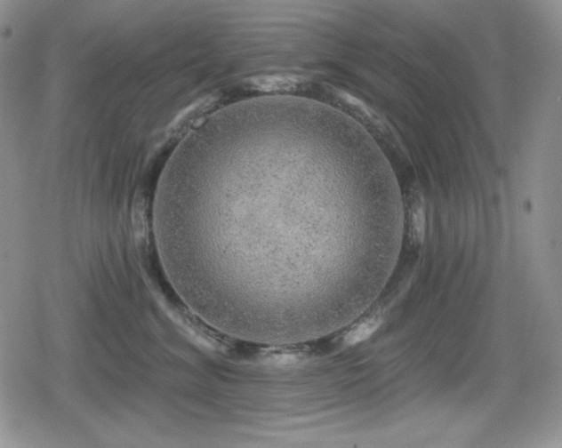 X0000080740620200612151251
