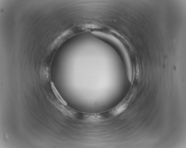 X0000080740621200612151251