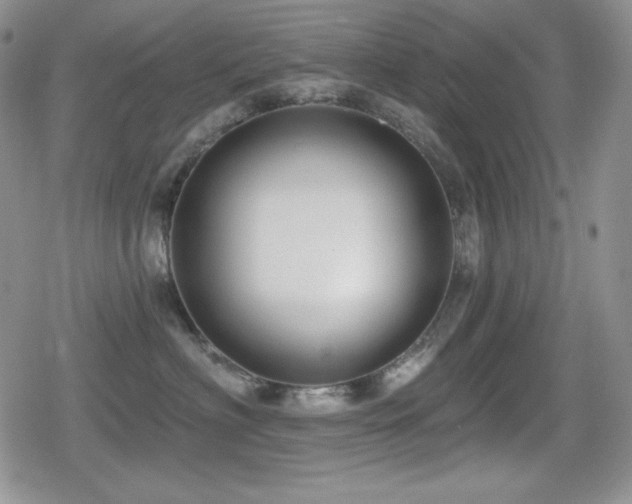 X0000080740622200612151251