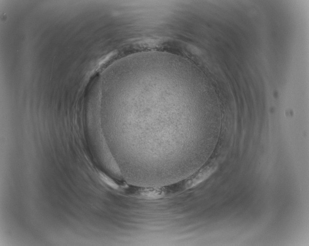 X0000080740624200612151251