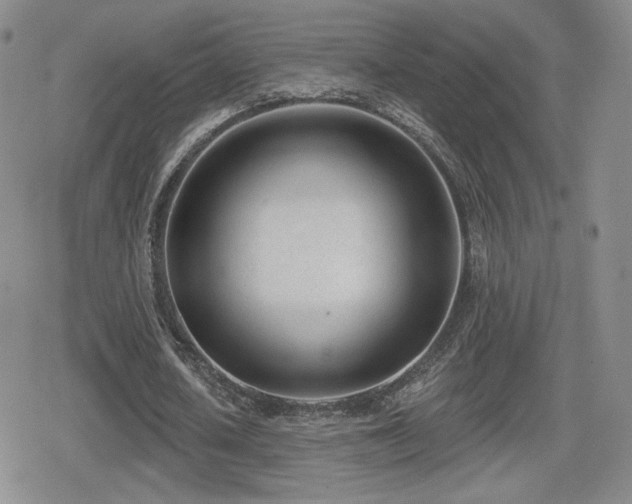 X0000080740626200612151250