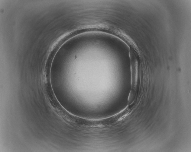 X0000080740628200612151250
